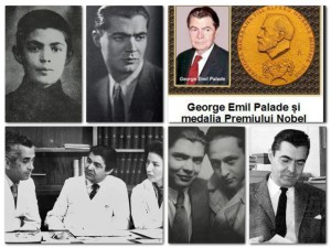 colaj emil palade